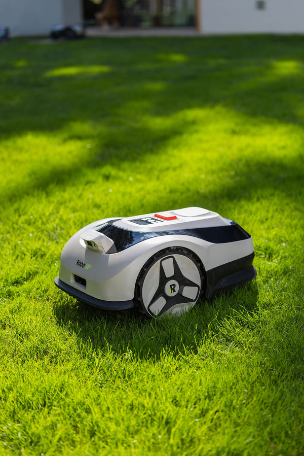 RoboUP Raccoon 2 SE
