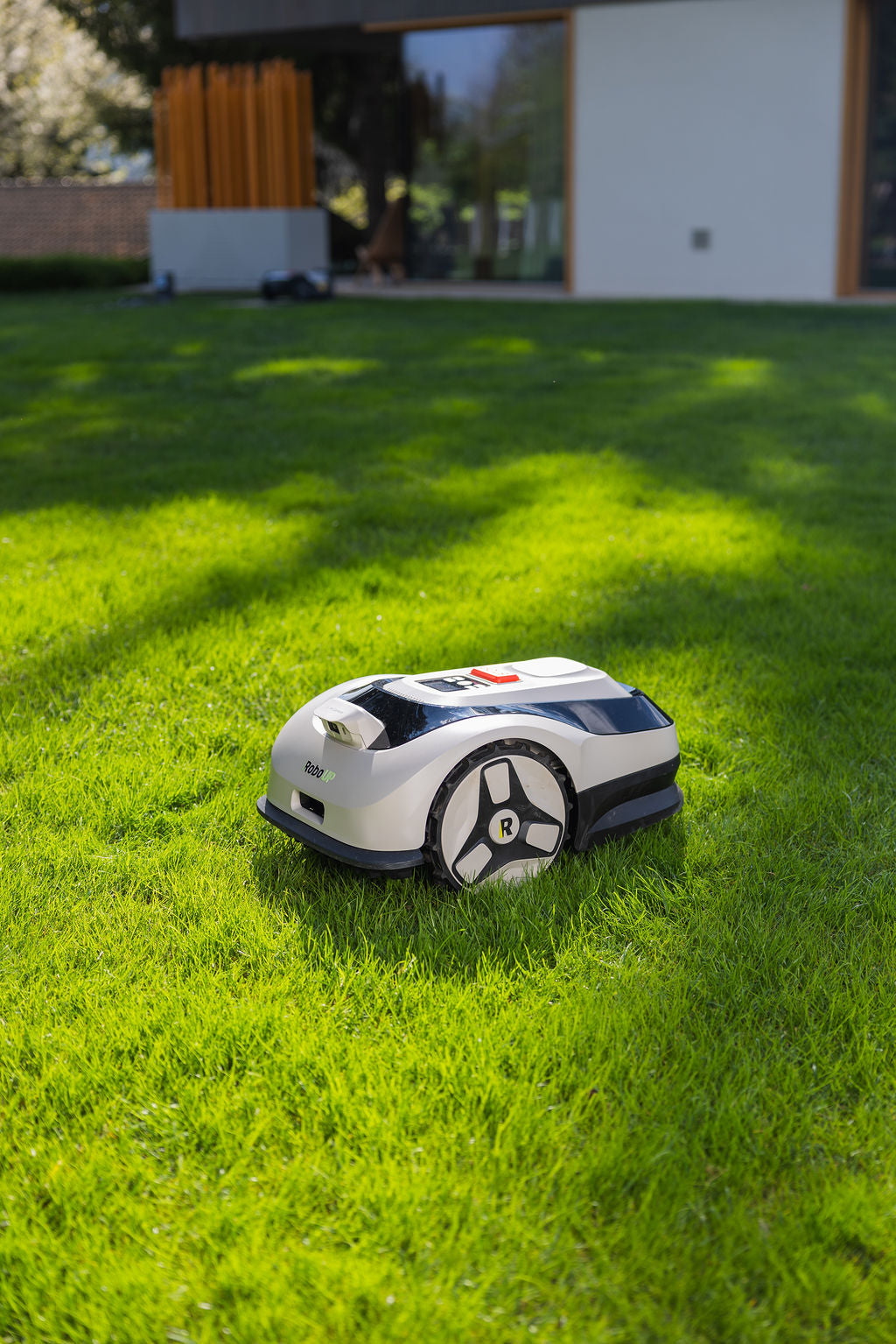 RoboUP Raccoon 2 SE